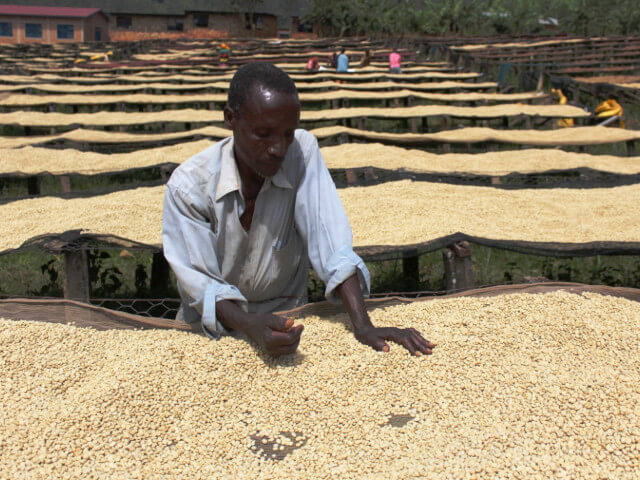 ブルンジ / Burundi 2